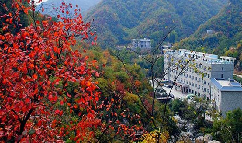 銘智南(nán)陽雲露山基地